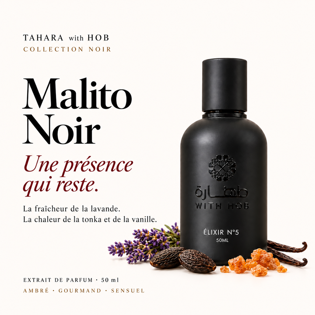 Parfum homme 50 ml Élixir N°5 Malito Noir – Tahara Maroc